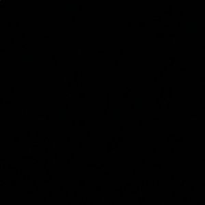 Meet your Posher, Lupita